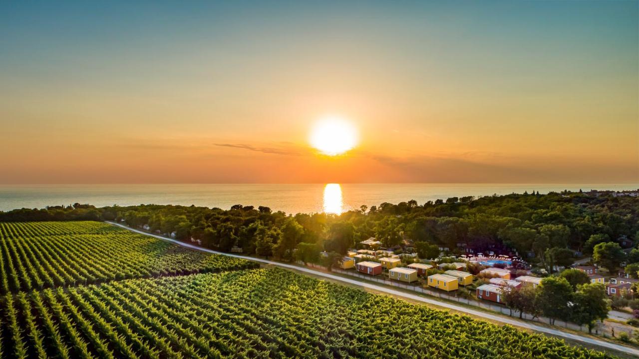 Sunflower Camping Mareda Dış mekan fotoğraf