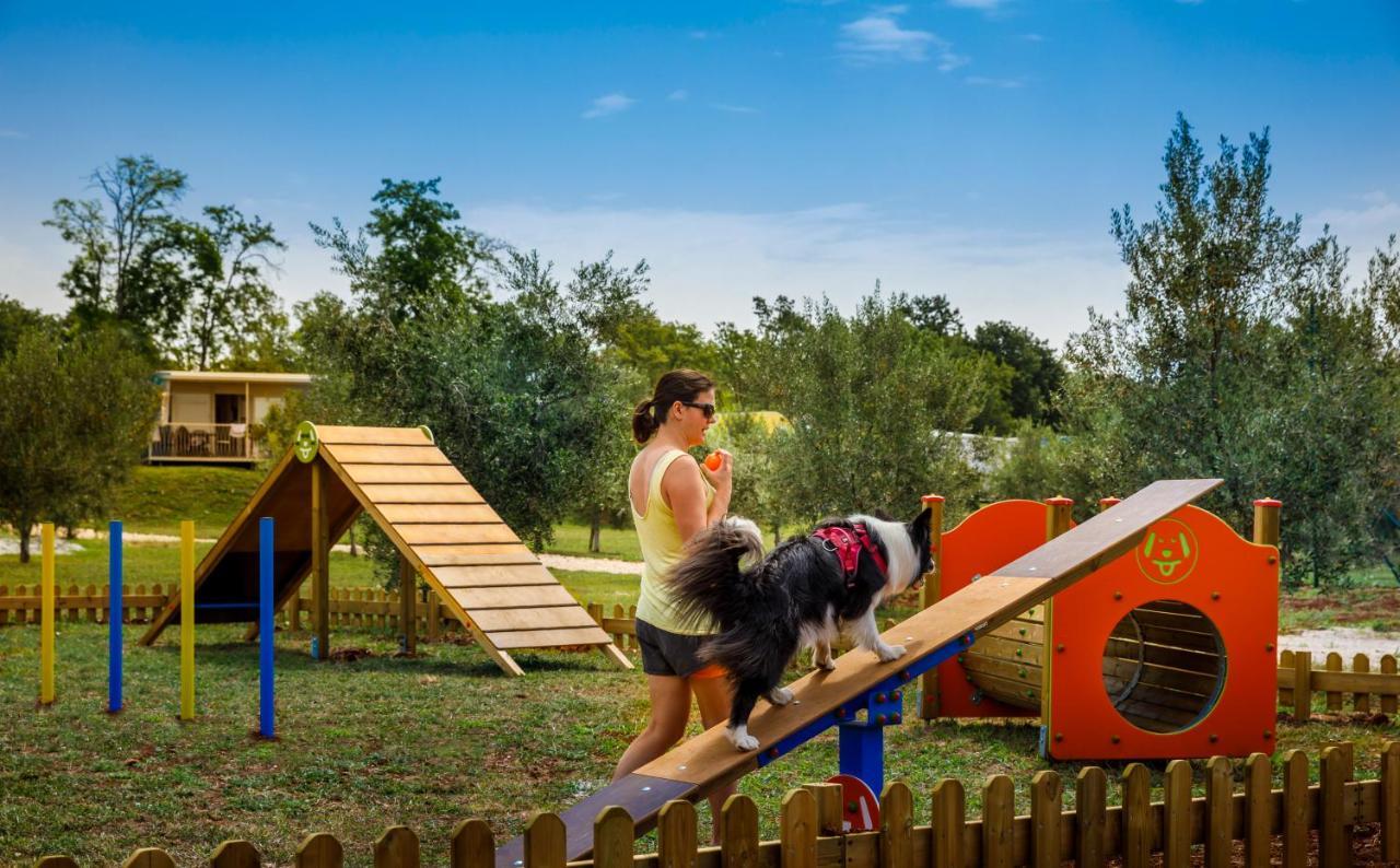 Sunflower Camping Mareda Dış mekan fotoğraf