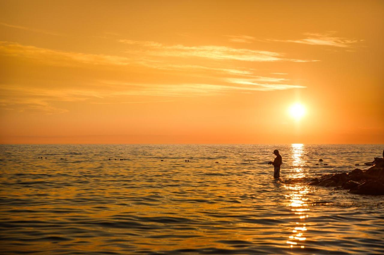 Sunflower Camping Mareda Dış mekan fotoğraf